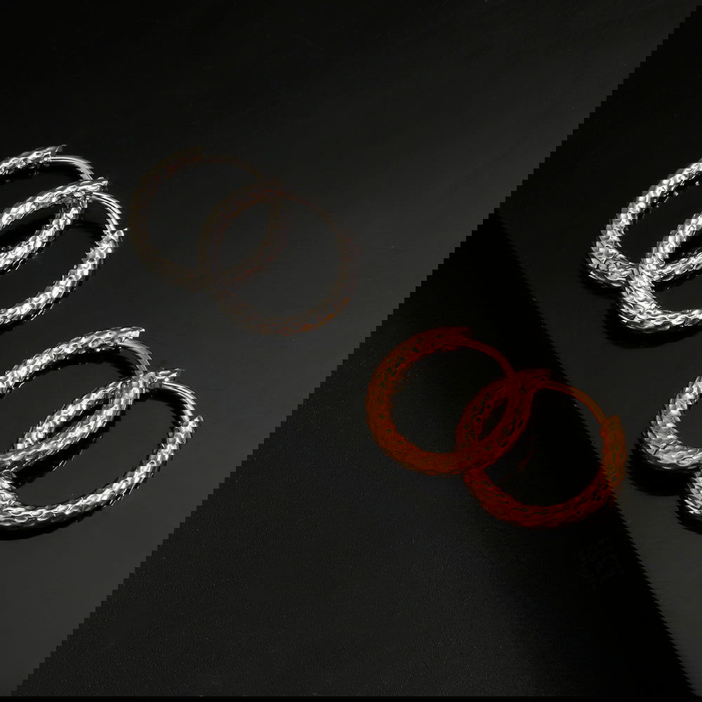 Wholesale 1 Pair IG Style Simple Style Commute Circle 304 Stainless Steel Earrings - coojewelry