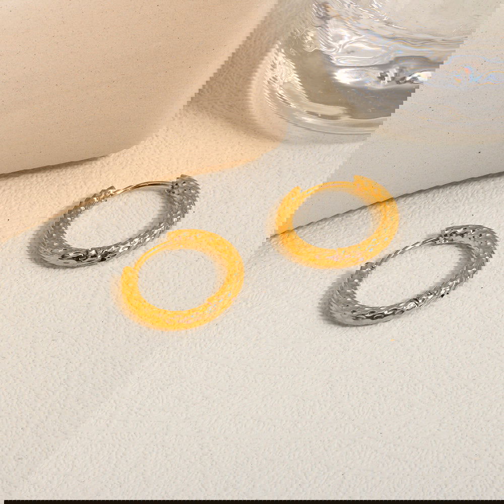 Wholesale 1 Pair IG Style Simple Style Commute Circle 304 Stainless Steel Earrings - coojewelry
