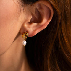 Wholesale IG Style Shell Pearl 304 Stainless Steel 18K Gold Plated Drop Earrings for Trendy Women - coojewelry